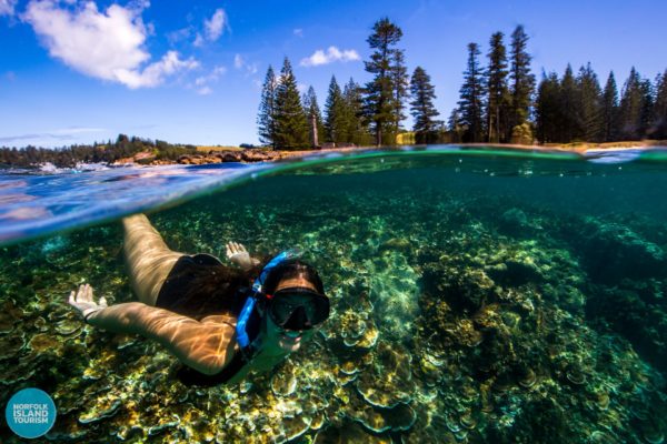 Underwater Norfolk Island